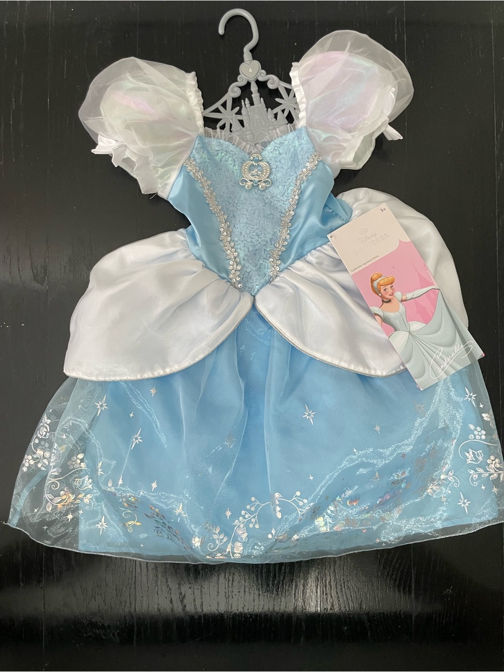 Disney Princess Cinderella Signature Dress